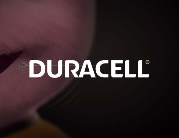 Fotografie voor Duracell